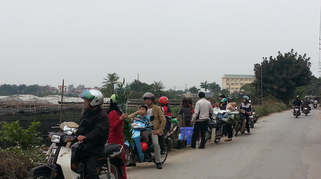 Làng hoa, làng đào Hà Nội vui Tết ảnh 6